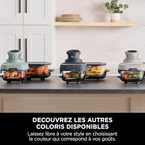 CRISPi Friteuse sans huile portable, 3,8L, 4-en-1 : Frire sans huile, Rôtir, Garder au chaud, Recroustiller, Design compact, 2 récipients avec couvercles, 1 700 W, Gris